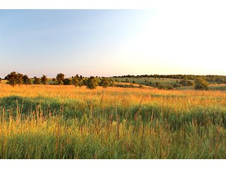 Property photo 20 - LARGE KANSAS AUCTION - 7,672+/- ACRES OFFERED IN 12 TRACTS IN CHAUTAUQUA COUNTY, KANSAS